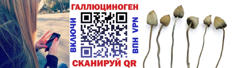 shop Telegram  Балабаново  Псилоцибиновые грибы Magic Shrooms 